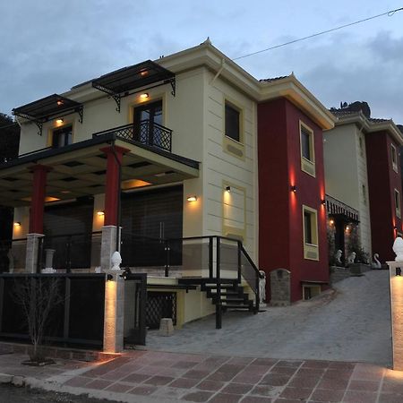 Dominique Meteora House Apartment กาลัมปากา ภายนอก รูปภาพ